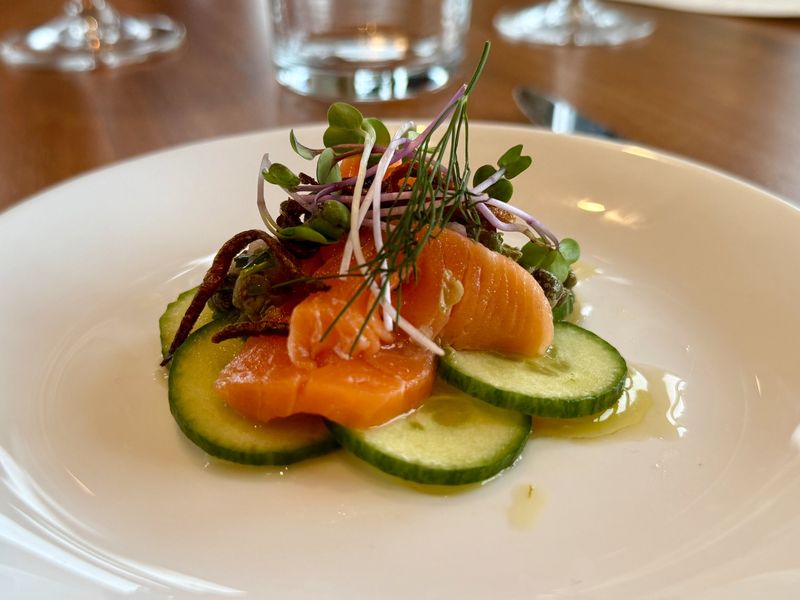 Cured salmon with cucumber